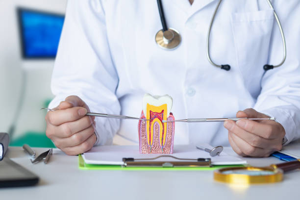Best Emergency Dental Care for Broken or Chipped Teeth in Lowell, IN